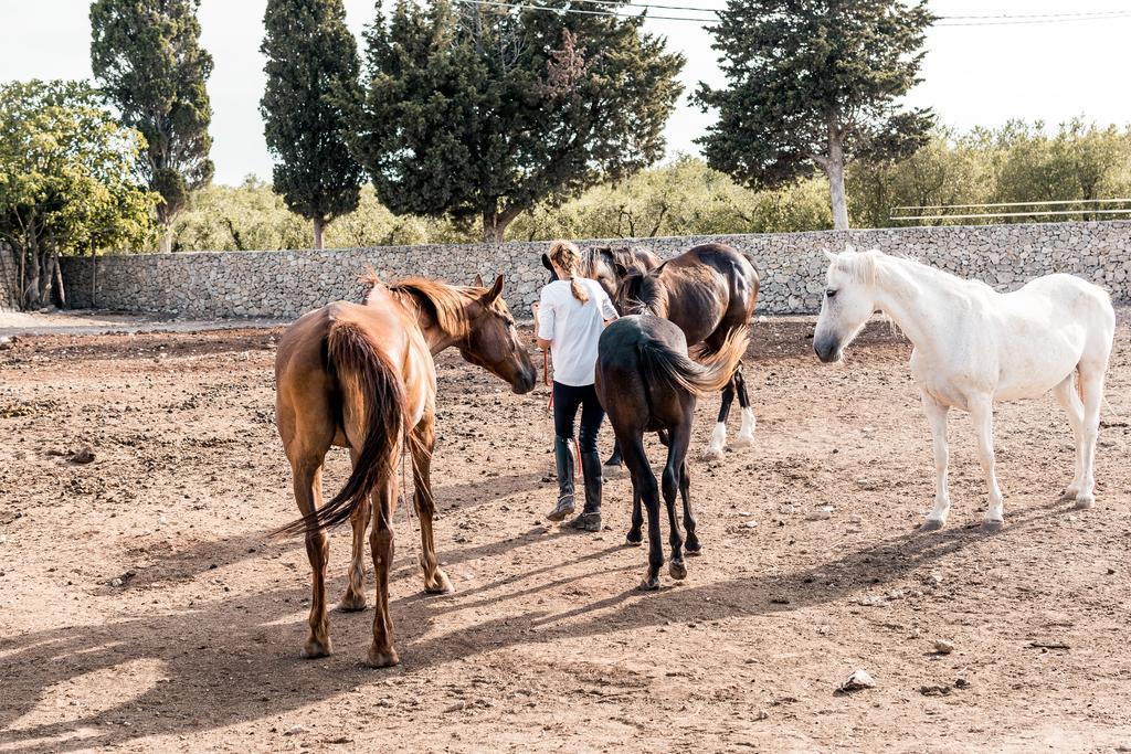 Masseria Prosperi Alimini Eksteriør bilde
